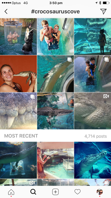 Instagram posts with hashtag CrocosaurusCove