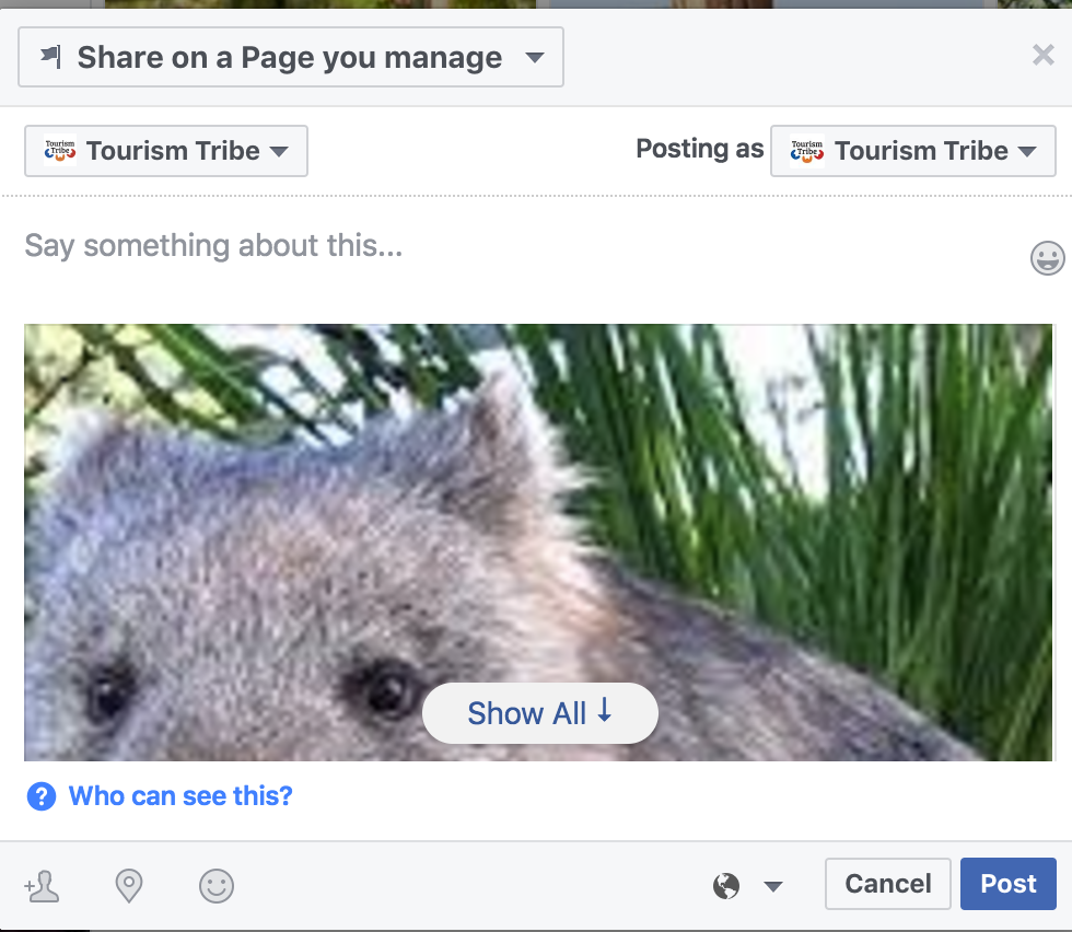 Tourism Tribe - Facebook - Share