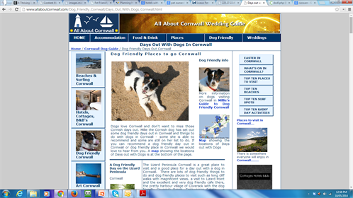 Tutorial33A-33adogfriendly_498x280-1