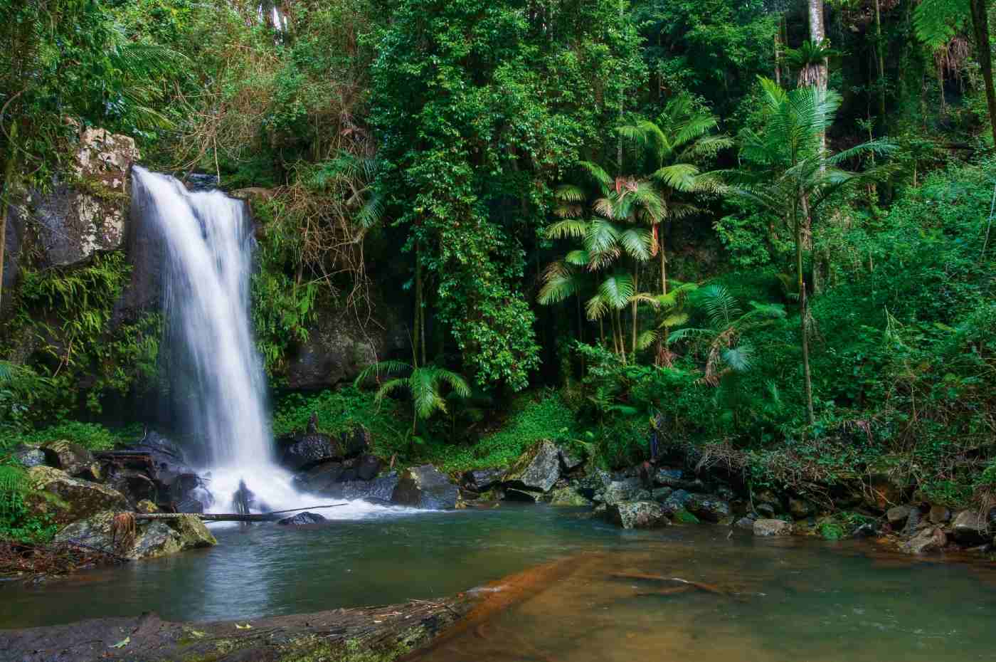 Curtis Falls - Tamborine Mountain - Credit Tourism and Events QLD