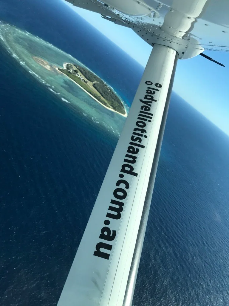 Lady Elliot Island