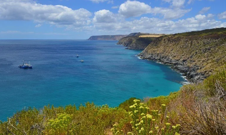 Kangaroo Island tourism businesses access image portal to do better digital marketing