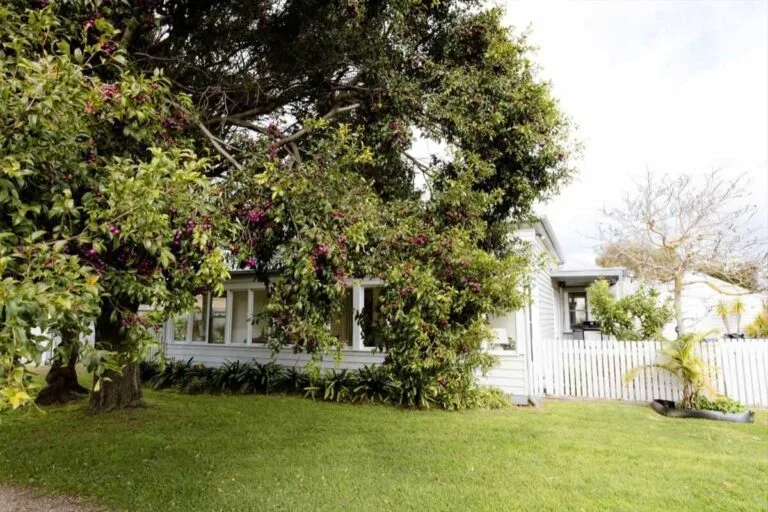 White Queenslander house in Pullenvale shaded by flowering tree and established gardens.