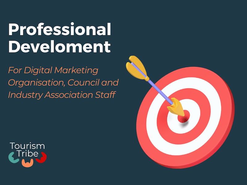 Professional dev: Digital marketing and analytics