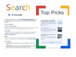 A screenshot of Google's SGE showing the Top Pics highlighted in a Google-branded box