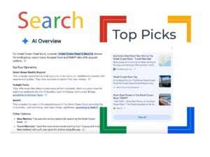 A screenshot of Google's SGE showing the Top Pics highlighted in a Google-branded box