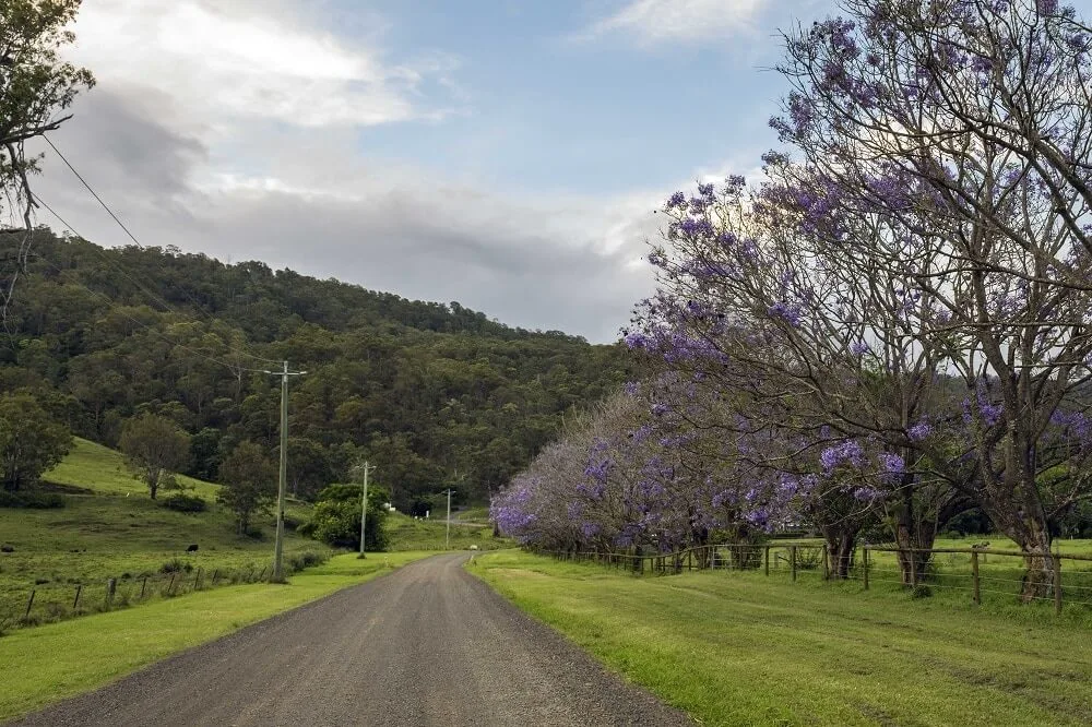 Tourism Marketing Trends