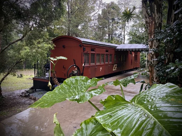 Red heritage railway carriage nestled among native trees and tropical plants.