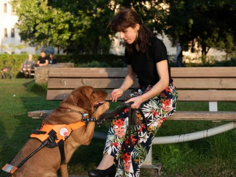 woman with sight impairment sitting on a park bench with her assistance animal